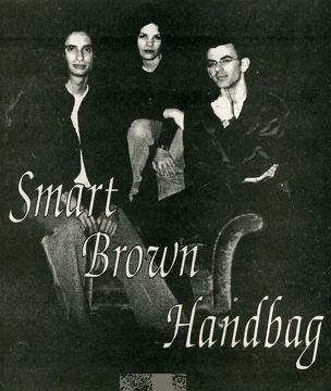 Smart Brown Handbag